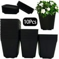 thumbnail image 1 of Yayun 2.75'' x 2.57'' Rectangular Black Plastic Nursery Pots with Saucers (10 Count), 1 of 6