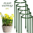 thumbnail image 1 of Ycolew 6 Pack Plant Support Stakes, Metal Peony Support, Garden Plant Cage Stake Support, Plant Support Ring, Green Half Round Plant Support Ring for Peony, Tomato, Rose, Vine Plant, 1 of 7