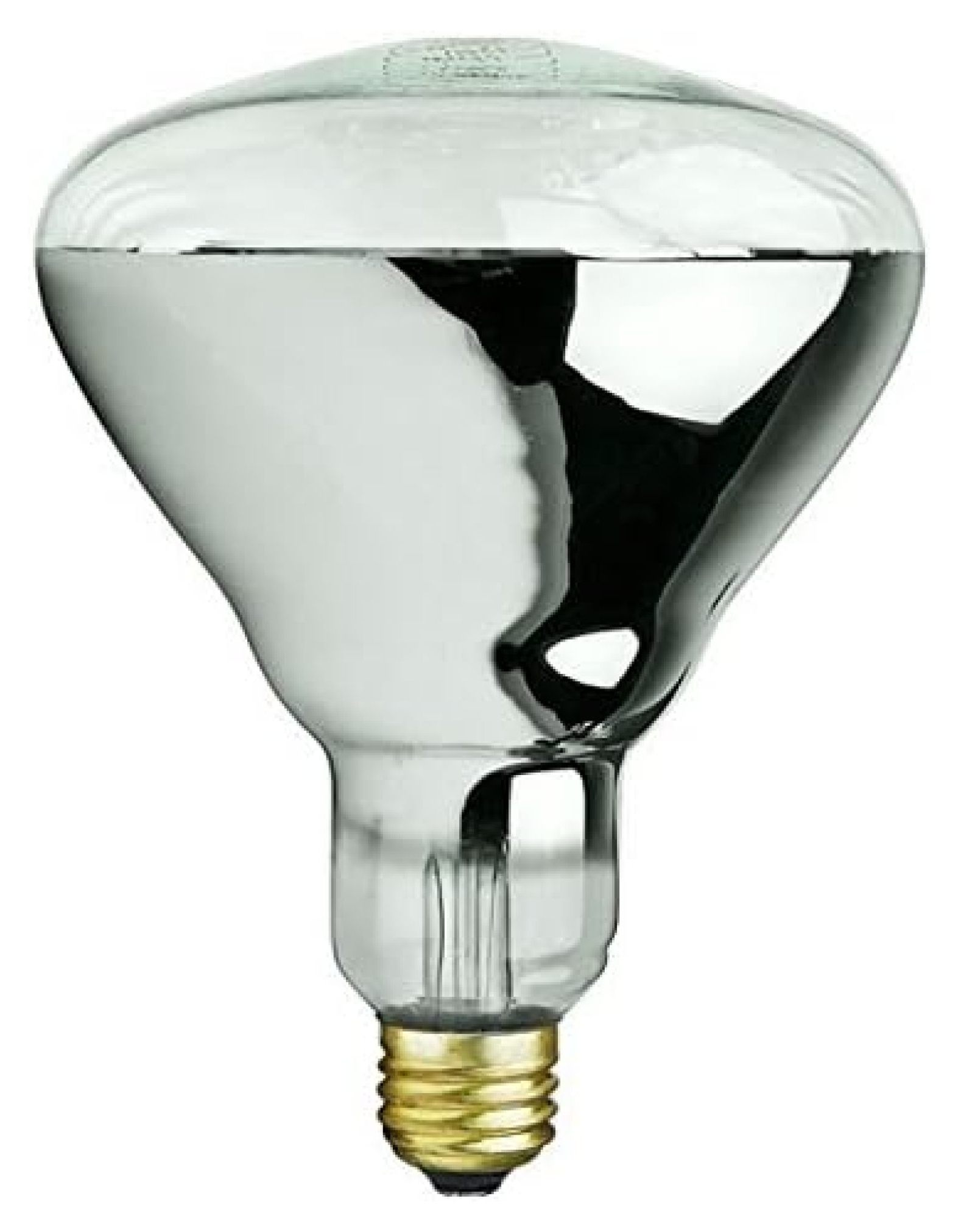 YeSayH 125 WATT Clear BROODER Heat LAMP Bulb Chicken COOP Hen House