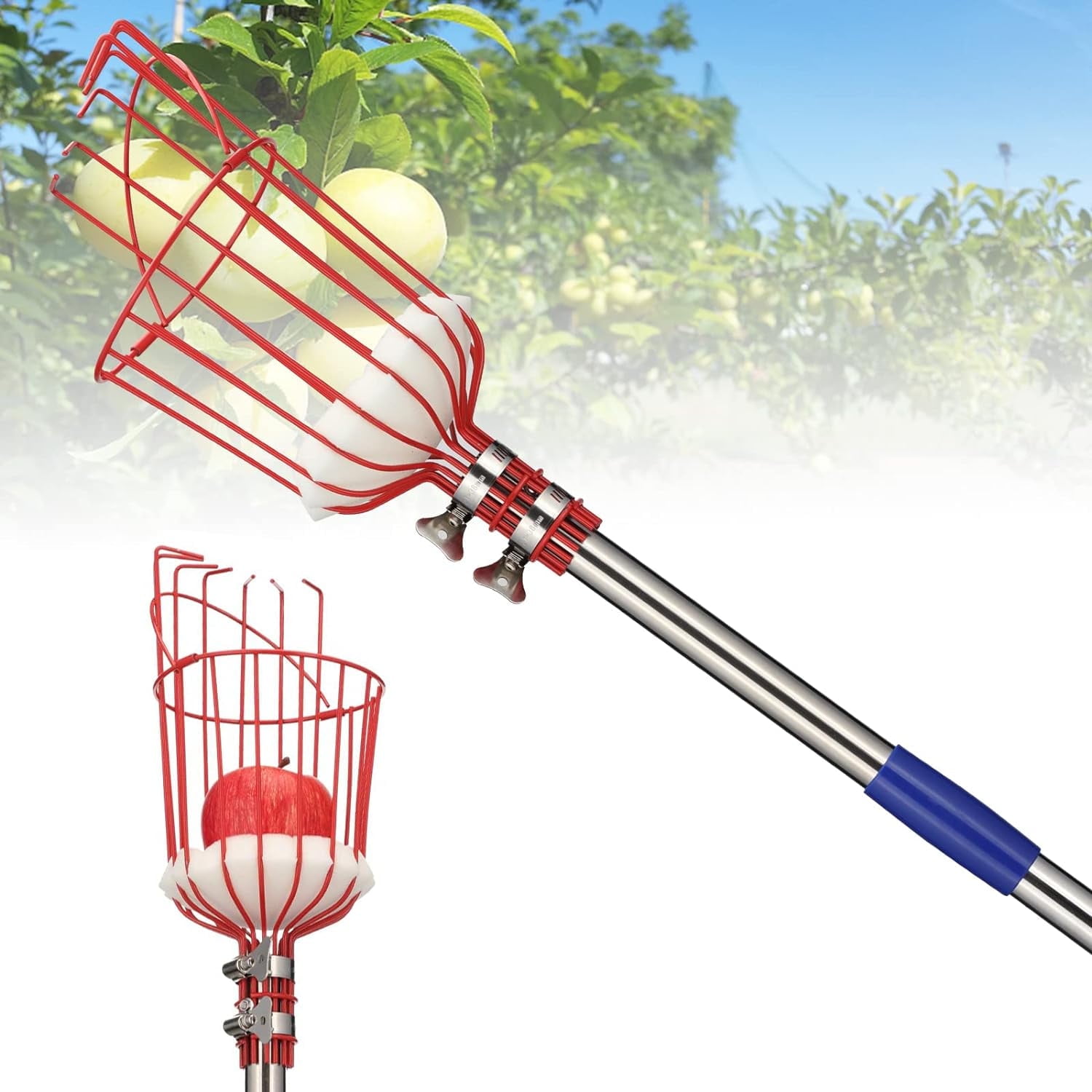 YeYeBest Fruit Picker Pole with Basket,10ft Adjustable Height Fruit Picker Tool with Stainless Steel Fruit Picking Pole for Apple Orange Mango