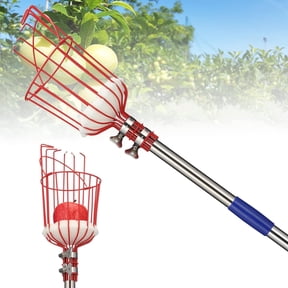 YeYeBest Fruit Picker Pole with Basket,8ft Adjustable Height Fruit Picker Tool with Stainless Steel Fruit Picking Pole for Apple Orange Mango