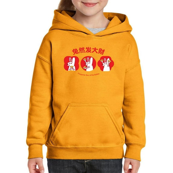 Year Of The Rabbit Prosperity Hoodie Juniors - Youth Hoodie, Small