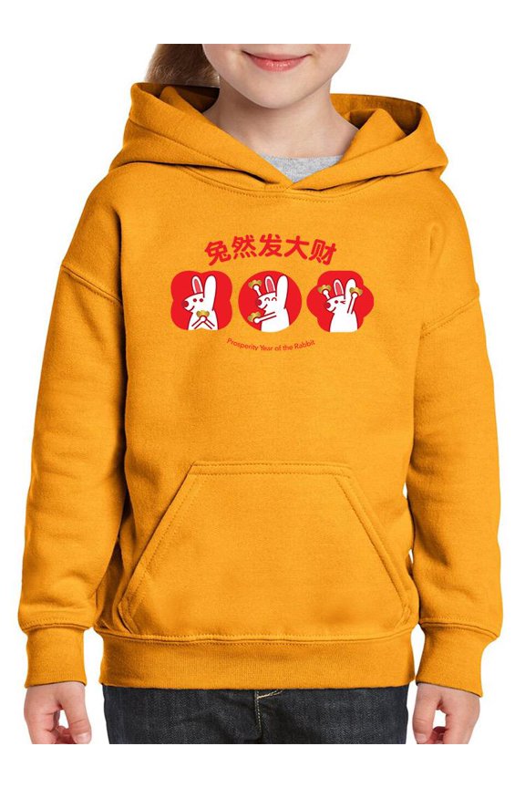 Year Of The Rabbit Prosperity Hoodie Juniors - Youth Hoodie, Small