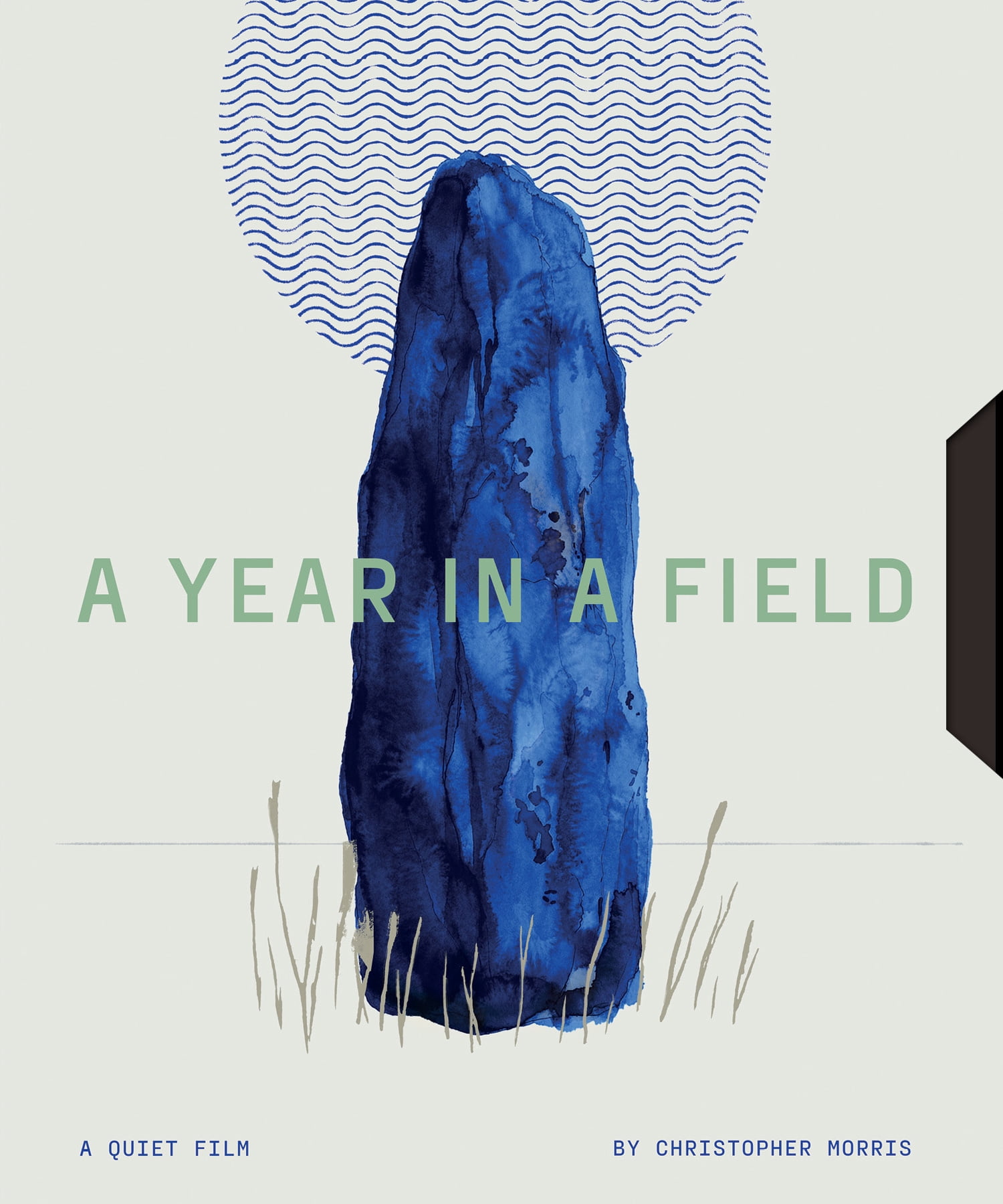 Spectacular Optical - A Year in a Field [BLU-RAY]