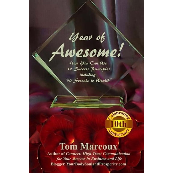 Year of Awesome! : How You Can Use 12 Success Principles Including 10 Seconds to Wealth