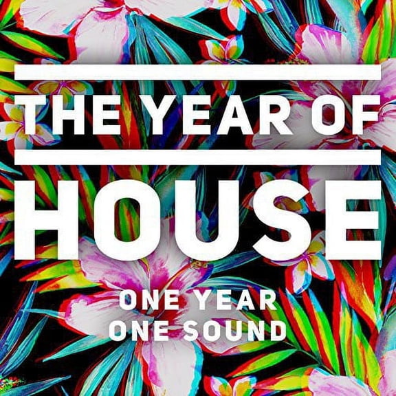 Year of House / Various