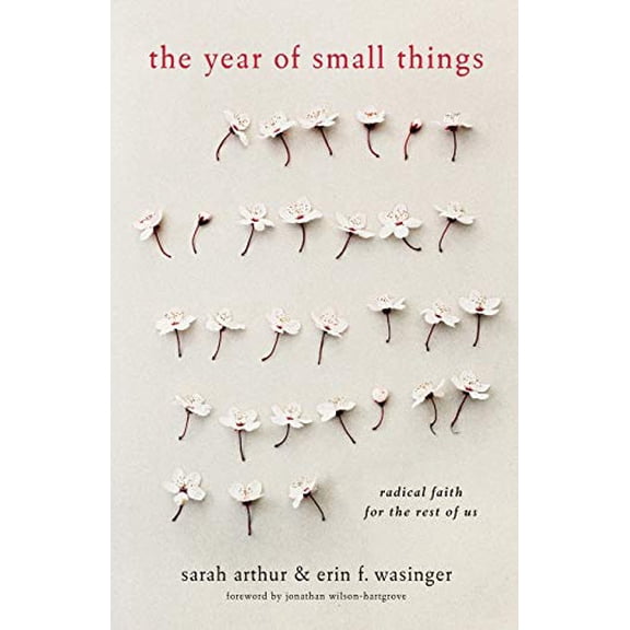 Pre-Owned The Year of Small Things: Radical Faith for the Rest of Us (Paperback) 1587433826 9781587433825