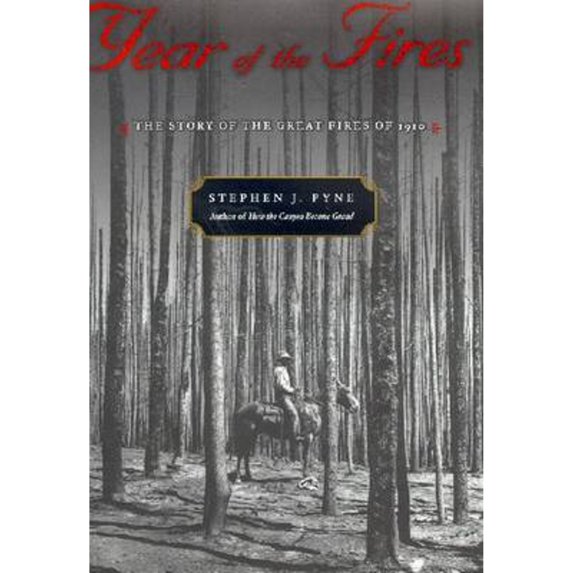 Pre-Owned Year of the Fires Paperback