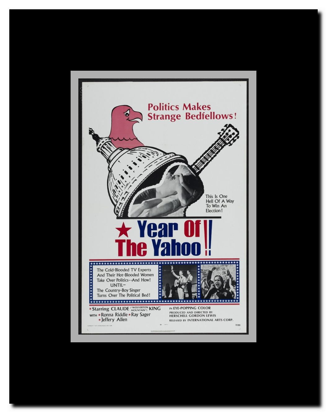 Year of the Yahoo Framed Movie Poster