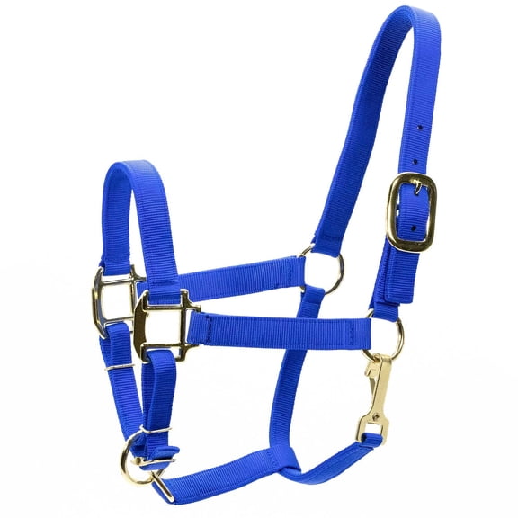 Jeffers Adjustable Nylon Horse Halter w/ Throat Snap, Blue - 3 Ply Webbing, Chin Strap, Heavy Duty Throat Snap, Sturdy Hardware, Equine Halter for Training, Leading, Stable Use - Yearling 400-600lb