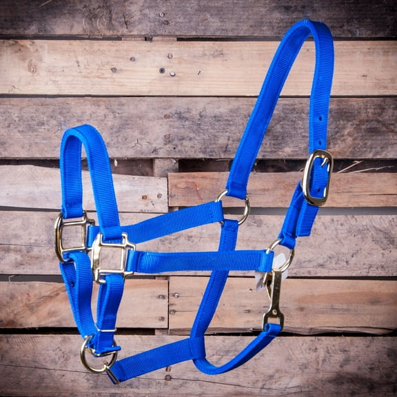 Yearling Adjustable Halter w/Throat Snap #38Y Color: Royal Blue