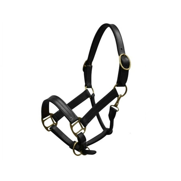 Yearling Leather Halter w/ Brass Hardware (Black)
