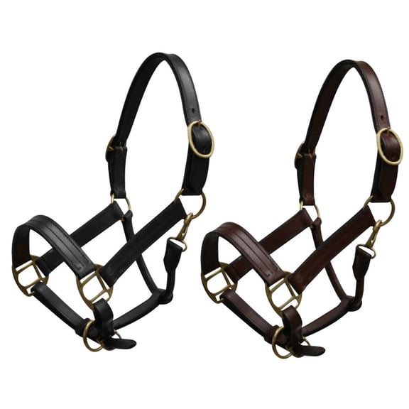 Yearling Leather Halter w/ Brass Hardware