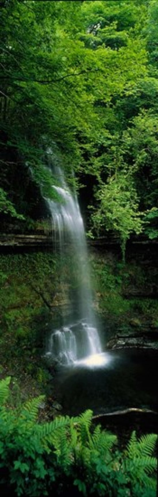 Yeats Waterfall Ireland Canvas Art - Panoramic Images (12 x 38)