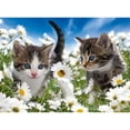 thumbnail image 1 of Yeesam Art 5D DIY Diamond Painting Kit Cat Flowers Cross Stitch Full Drill Rhinestone Embroidery Craft for Home Wall Decor Gift, 1 of 7