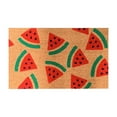 thumbnail image 1 of Front Doormat Indoor Entrance Doormats Rugs for Entryway Watermelon Carpet Non Entrance Door Entrance Pad Area Rug Tape for Tile Floors Deals Today 2025 Vintage Rug 16x24IN, 1 of 5