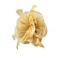 thumbnail image 1 of Yeetfub Derby Hat Hats for Women Fashionable Hat for Women Wedding Flower Cocktail Mesh Feathers Hair Clip Tea Party Headband ky Derby Hats Wedding Hats for Women,Gold, 1 of 4