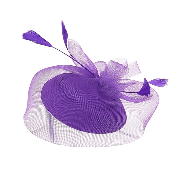 Yeetfub Fascinator Headband 1920s 1950s Hats Fascinators for Women Tea Party Headband Hat Mesh Feathers Hair Clip for Wedding Cocktail and Church ky Derby Hats Wedding Hats for Women,Purple