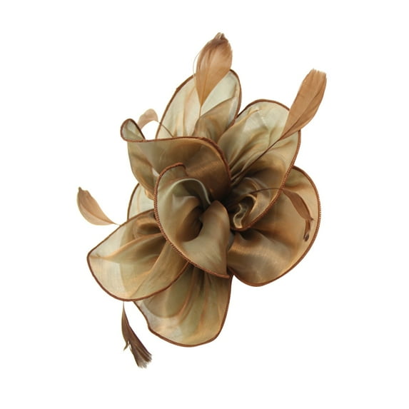 Yeetfub Fascinators Hat Derby Hats for Women 2024 Fascinator Hat for Women Wedding Flower Cocktail Mesh Feathers Hair Clip Tea Party Headband ky Derby Hats Wedding Hats for Women,Coffee