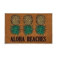 thumbnail image 1 of Yeetfub Super Durable Welcome Mat for Front Door Welcome Mats for Entry Machine Washable Crystal Velvet Floor Mats Pineapple Print Door Mats Spring Summer Door Mat&nbsp;Door Mats 16x24IN, 1 of 6