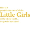thumbnail image 1 of Yellow 26" x 14" Decaltor How is IT Possible That Out of All The Little Girls Kids Room Sayings Words Art Decor Lettering Vinyl Wall Art Inspirational Uplifting, 1 of 1