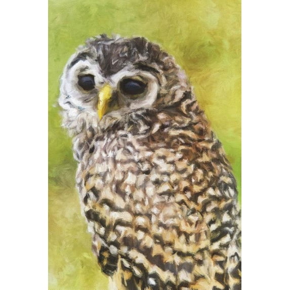 Yellow Beaked Owl - Lined Notebook with Margins : 101 Pages, Medium Ruled, 6 X 9 Journal, Soft Cover