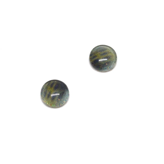 Yellow Bee Insect Bug Compound Glass Eyes