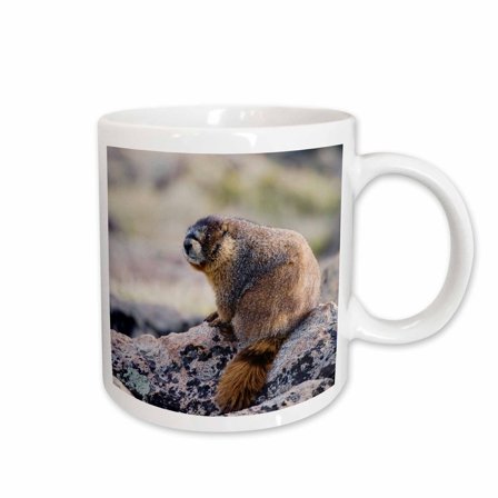 3drose, Yellow-bellied Marmot Wildlife, Rocky Mountain Np - Na02 Rnu0850 - Rolf Nussbaumer, 11oz Mug