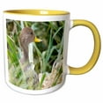 thumbnail image 1 of 3drose, Yellow-billed Pintail, Endemic to S Georgia Is., in Tussock Habitat., 15oz Two-tone Yellow Mug, 1 of 6
