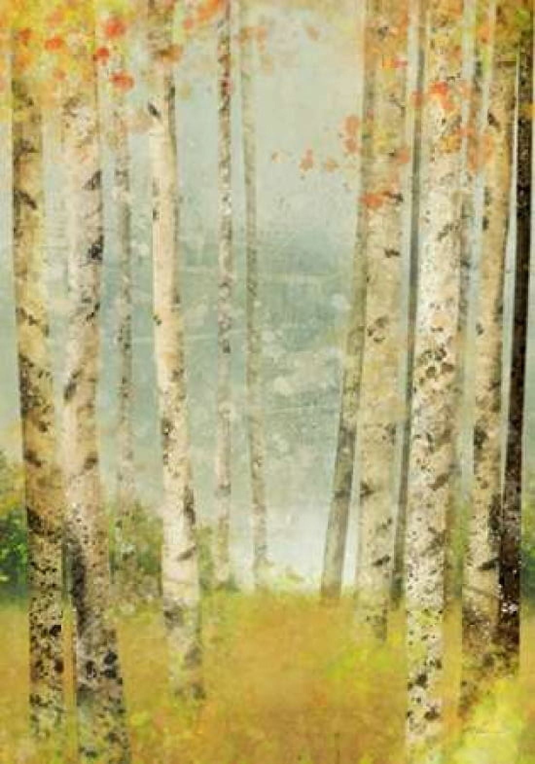 Yellow Birch 1 Canvas Art - Ken Roko (20 x 28)
