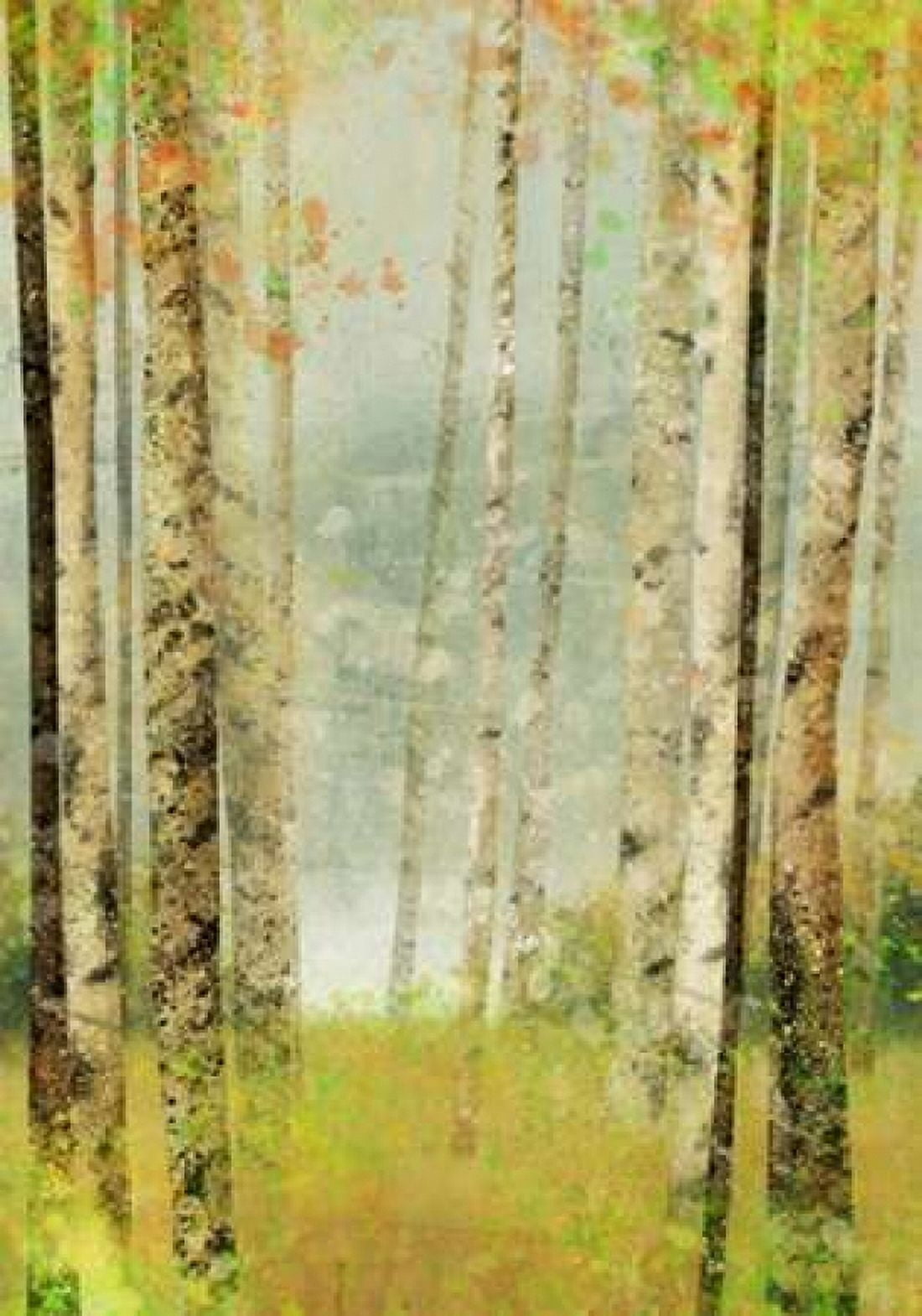 Yellow Birch 2 Canvas Art - Ken Roko (20 x 28)