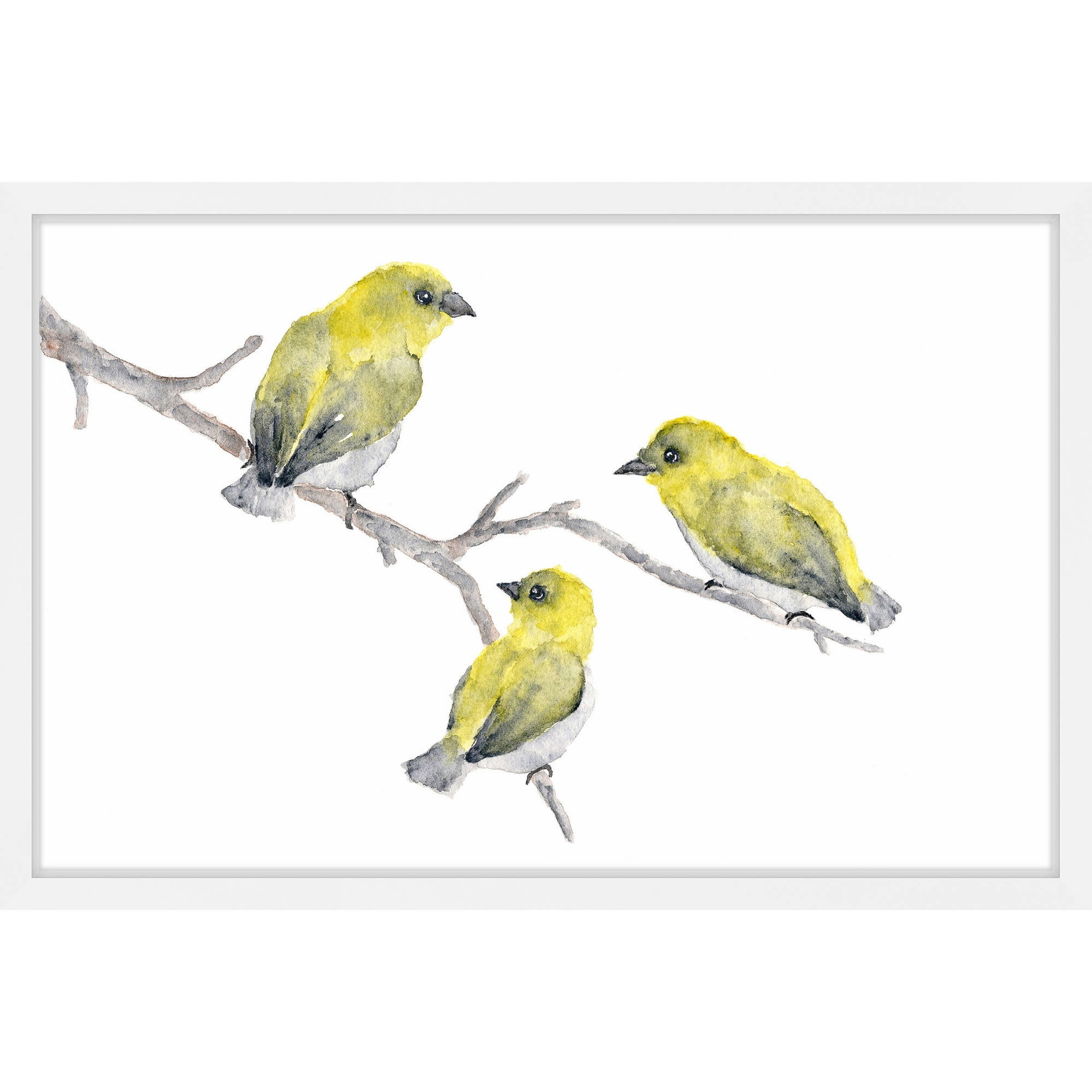 Yellow Birds on Branch Canvas Print