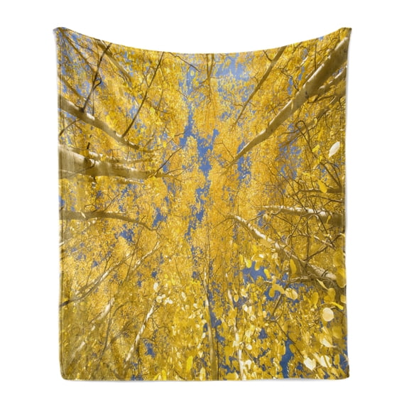 Yellow and Blue Soft Flannel Fleece Blanket, Looking Skyward Amongst the Patch of Sun-lit Aspen Trees in Autumn Life Print, Cozy Plush for Indoor and Outdoor Use, 50" x 70", Yellow, by Ambesonne