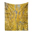 thumbnail image 1 of Yellow and Blue Soft Flannel Fleece Blanket, Looking Skyward Amongst the Patch of Sun-lit Aspen Trees in Autumn Life Print, Cozy Plush for Indoor and Outdoor Use, 70" x 90", Yellow, by Ambesonne, 1 of 6