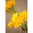 thumbnail image 1 of Yellow Calla Lilies Poster Print by Karyn Millet, 1 of 2