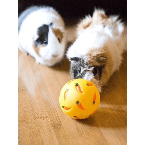 Yellow Carrot-Print Small Animal Puzzle Ball Toy for Guinea Pigs Rabbits