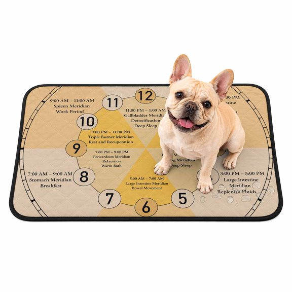 Yellow Chart Washable Pee Pads for Dogs Modern Schedule Numbers Chart Planner Non-Slip Pet Pads Waterproof Puppy Training Mat Soft Dogs Cats Pee Mat for Bed Crate Playpen 36"x24"
