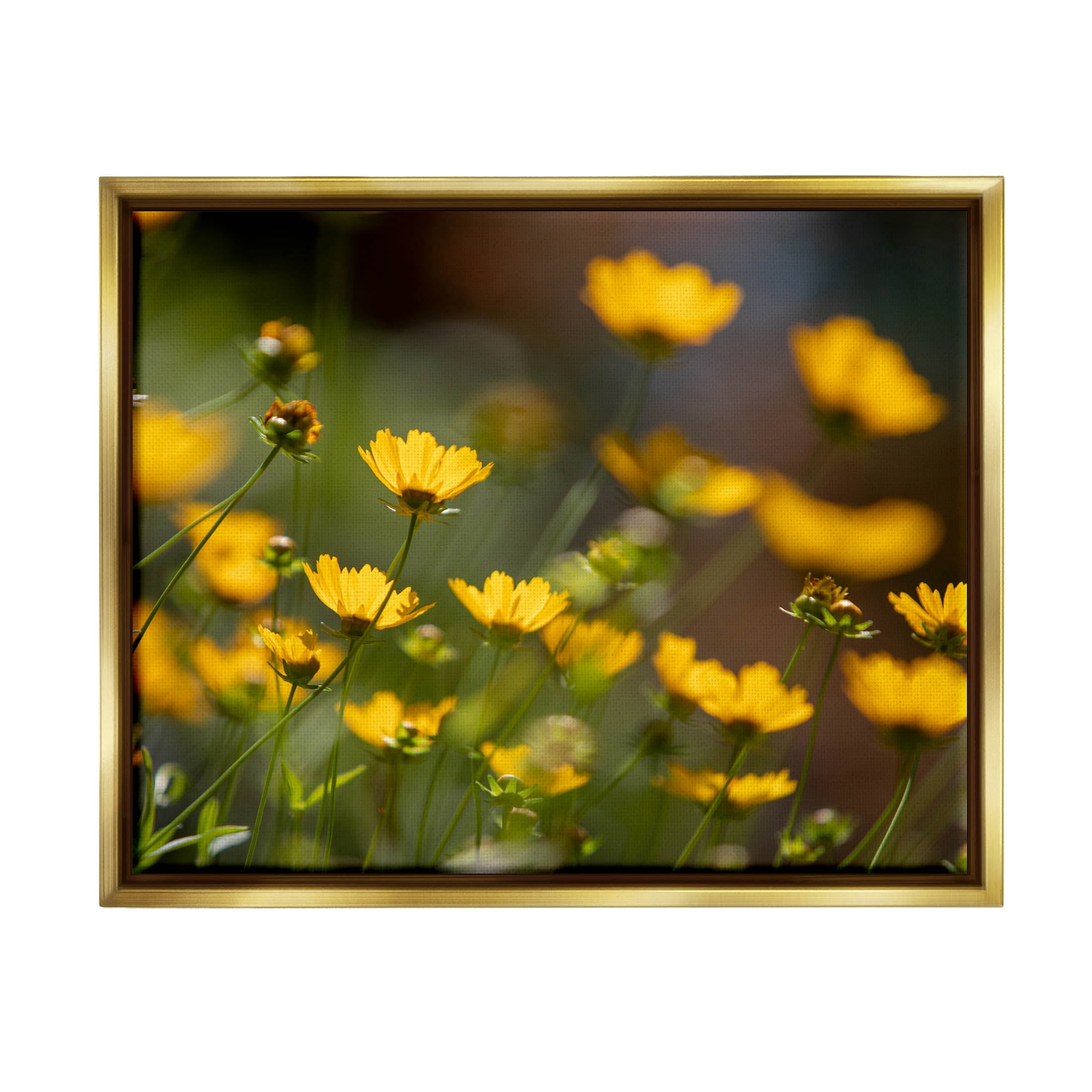 Yellow Daisy Wildflower Field Botanical & Floral Photograph Metallic Gold Framed Art Print Wall Art