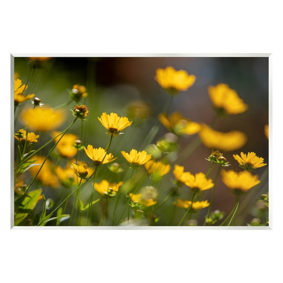 Yellow Daisy Wildflower Field Botanical & Floral Photograph Unframed Art Print Wall Art