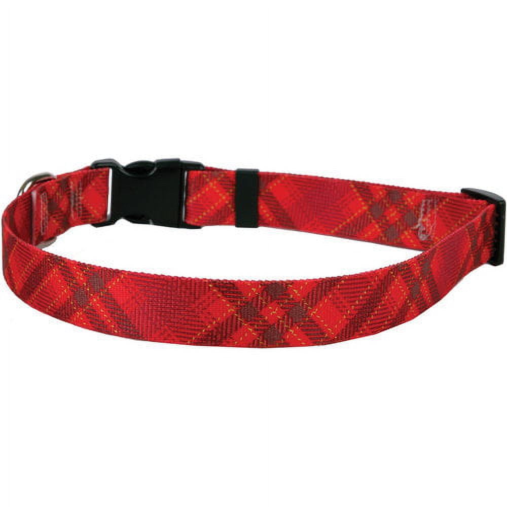 Yellow Dog Collar, Extra Small, 8", 12"