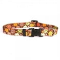 thumbnail image 1 of Yellow Dog Design AFL103L Autumn Flowers Standard Collar - Large, 1 of 1