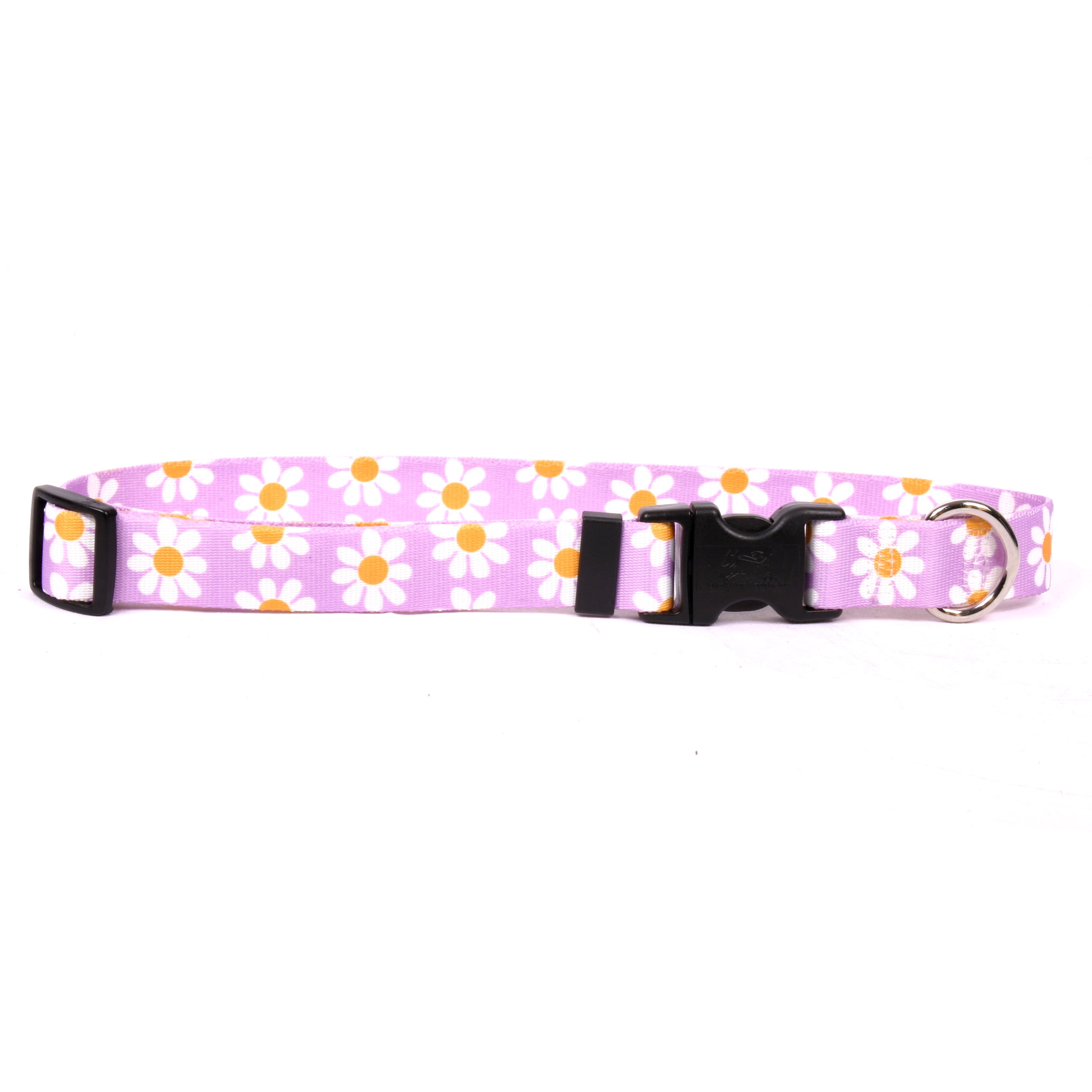 Dog collar daisy design sales