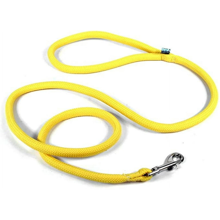 Yellow dog design leash sales