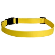 Yellow Dog Design Yellow Simple Dog Collar 3/8" Wide and Fits Necks 8 to 12", Extra