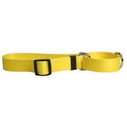 Yellow Dog Design Yellow Simple Solid Martingale Dog Collar 1" Wide and Fits Neck 18 to 26", Large