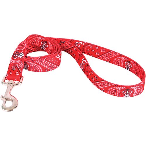 Yellow Dog Lead, .75" x 60"