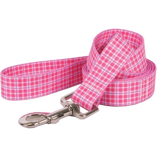 Yellow Dog Lead, .75" x 60"