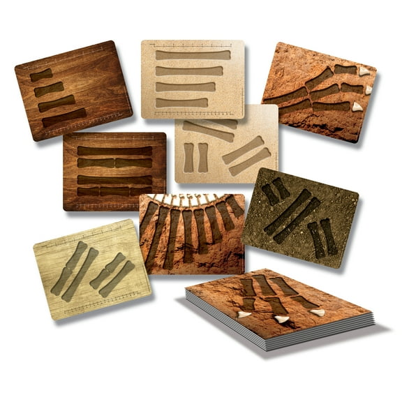 Yellow Door Dinosaur Bones Match and Measure Activity Cards