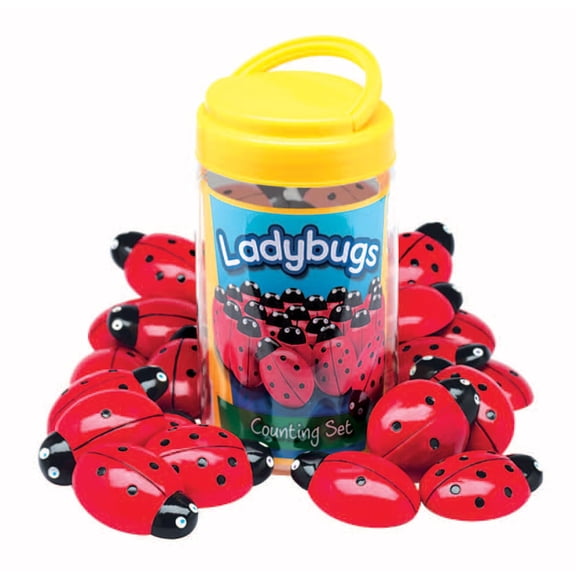 Yellow Door Ladybug Stones with Activity Cards