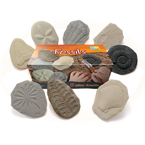Let's Investigate Bugs Stone, Pack of 8